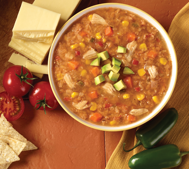 https://www.blountfinefoods.com/templates/yootheme/cache/24/Chicken_Tortilla_Soup-2467fd8e.png